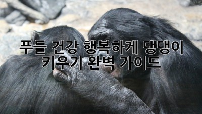 푸들 건강, 행복하게 댕댕이 키우기 완벽 가이드