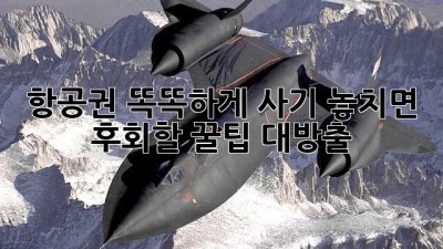 ✈️ 항공권 똑똑하게 사기! 놓치면 후회할 꿀팁 대방출 🍯